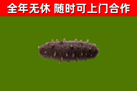 吴兴区烟酒回收干海参.jpg